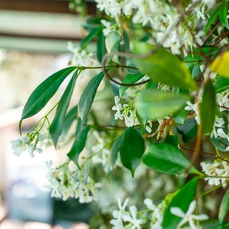 Agriturismo Filettro ヴォルテッラ エクステリア 写真