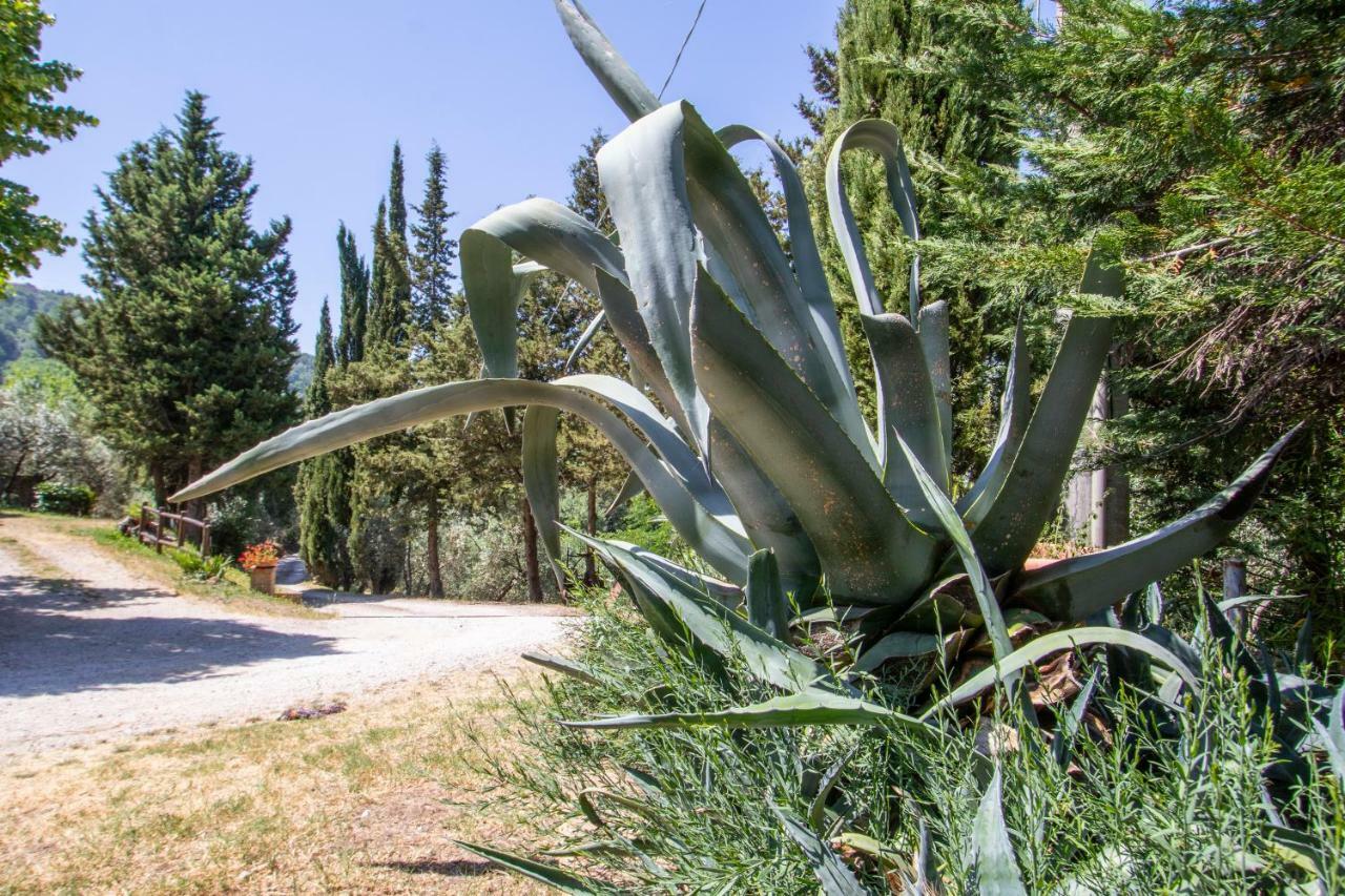 Agriturismo Filettro ヴォルテッラ エクステリア 写真