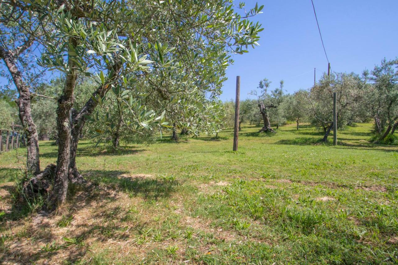 Agriturismo Filettro ヴォルテッラ エクステリア 写真