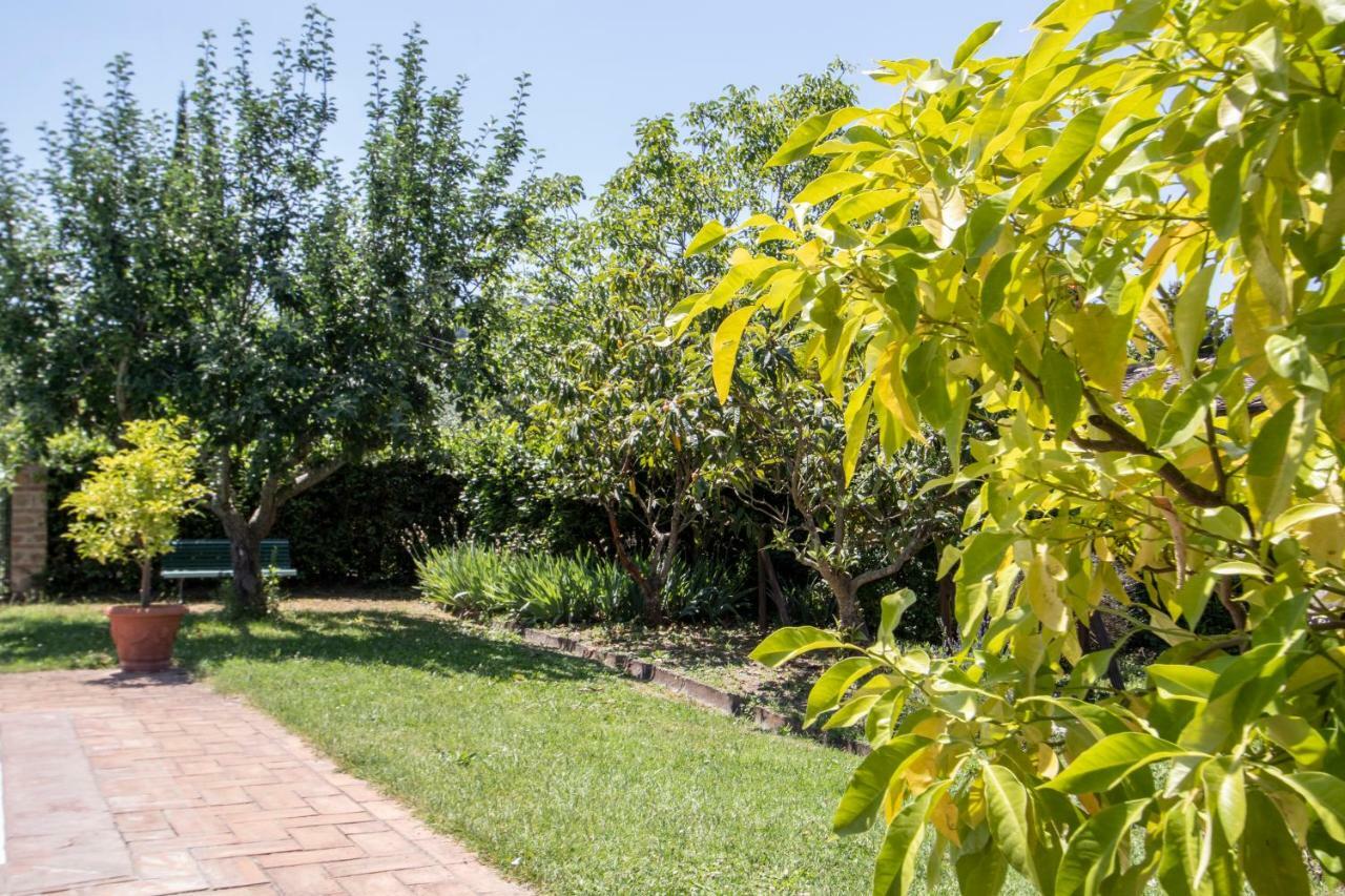 Agriturismo Filettro ヴォルテッラ エクステリア 写真